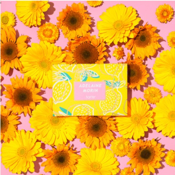 Tarte Adelaine Palette + IPSY Bag! - Picture 8 of 10